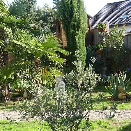 Koenig * Neustadt an der Weinstraße