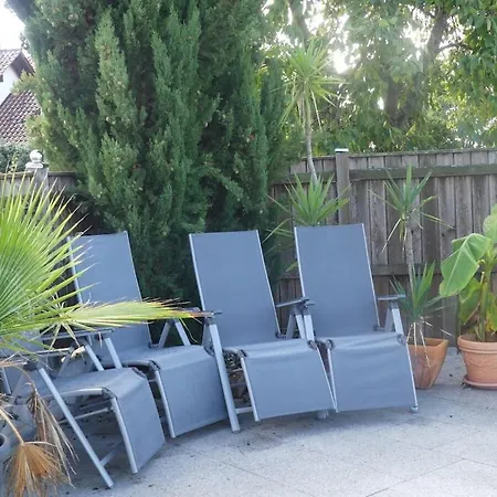 Koenig Сasa de vacaciones