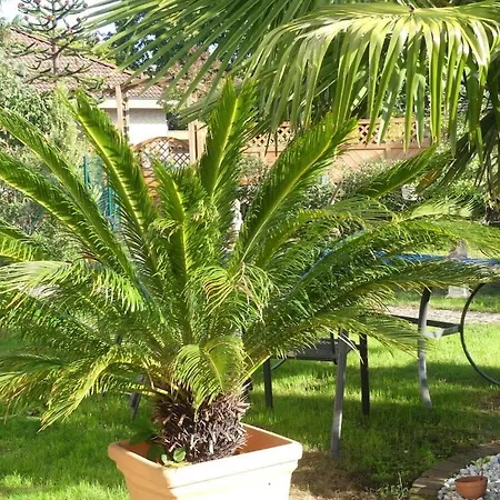 Koenig Сasa de vacaciones Neustadt an der Weinstraße