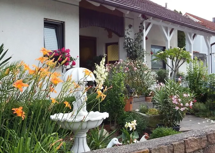 Koenig Сasa de vacaciones